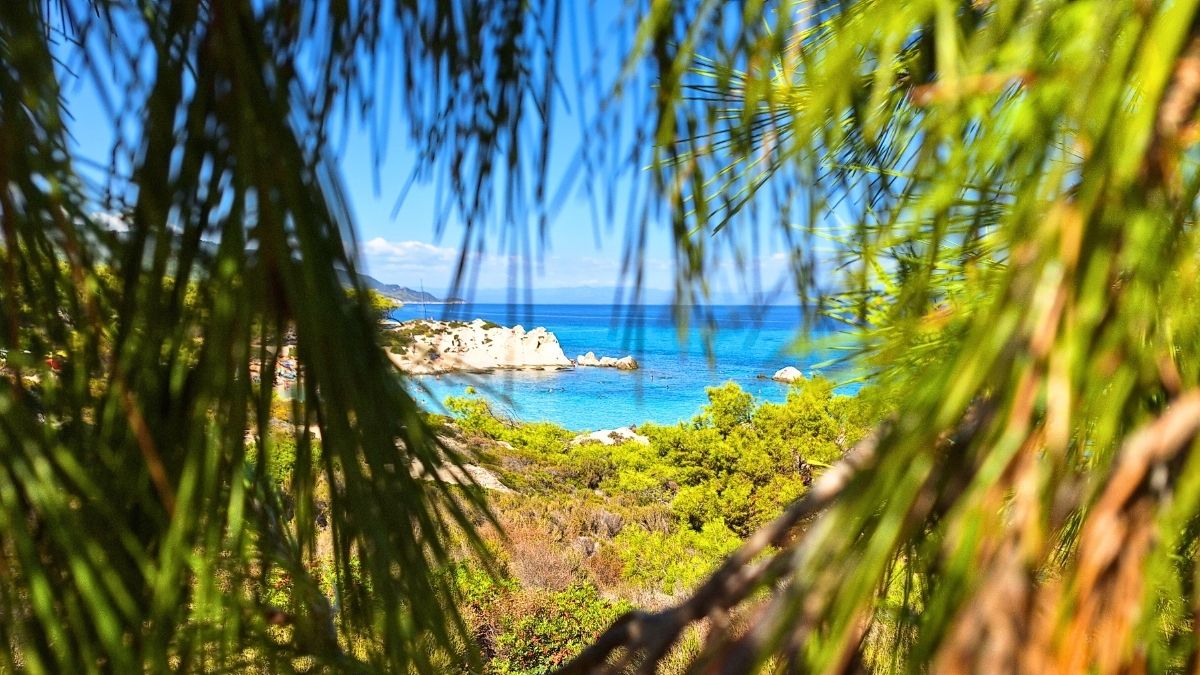 View of Orange Beach through pine tree needles, Sithonia, Halkidiki