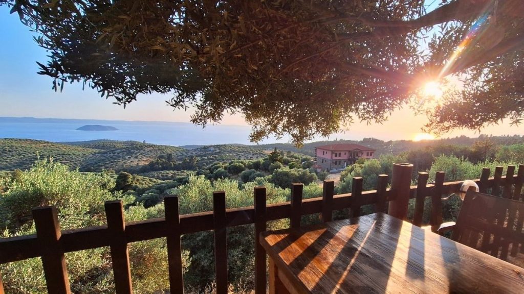 View of Toroneos Gulf from Pende Café in Parthenonas village, with Kelifos Island, olive tree, wooden table, and sunlight rays