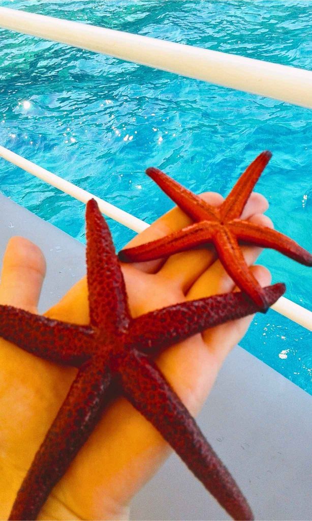 Two starfish in hand with the sea in the background in Sithonia, Halkidiki
